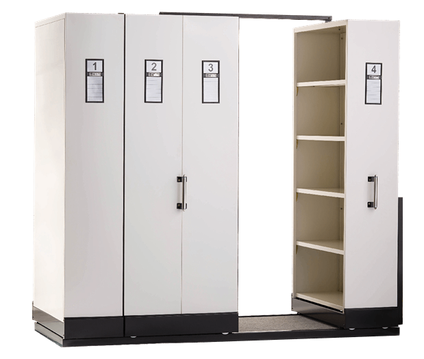 Mobile File System Alba